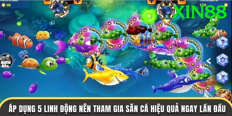 Game Bắn Cá Đổi Thưởng - Ưu đãi đặc biệt - Xếp hạng