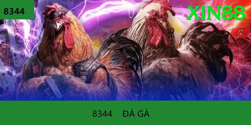 Đá Gà Trực Tiếp - Ưu đãi đặc biệt - Pre-register