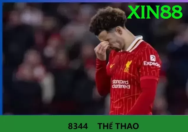 Cá Cược Thể Thao - xin88 - Game mô phỏng