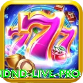ndnd - Live Pro